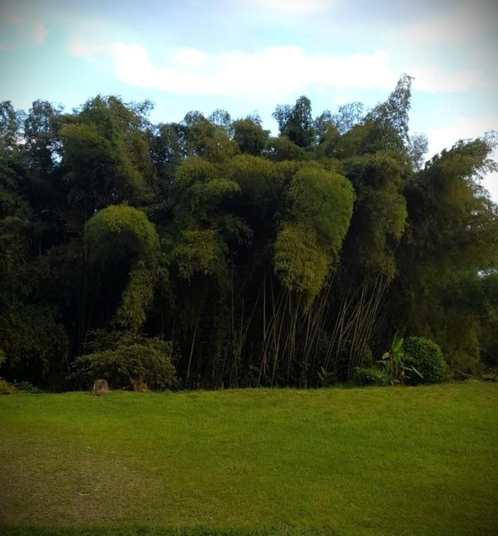 ホテル Filandia - Finca Rural La Guadalupana エクステリア 写真