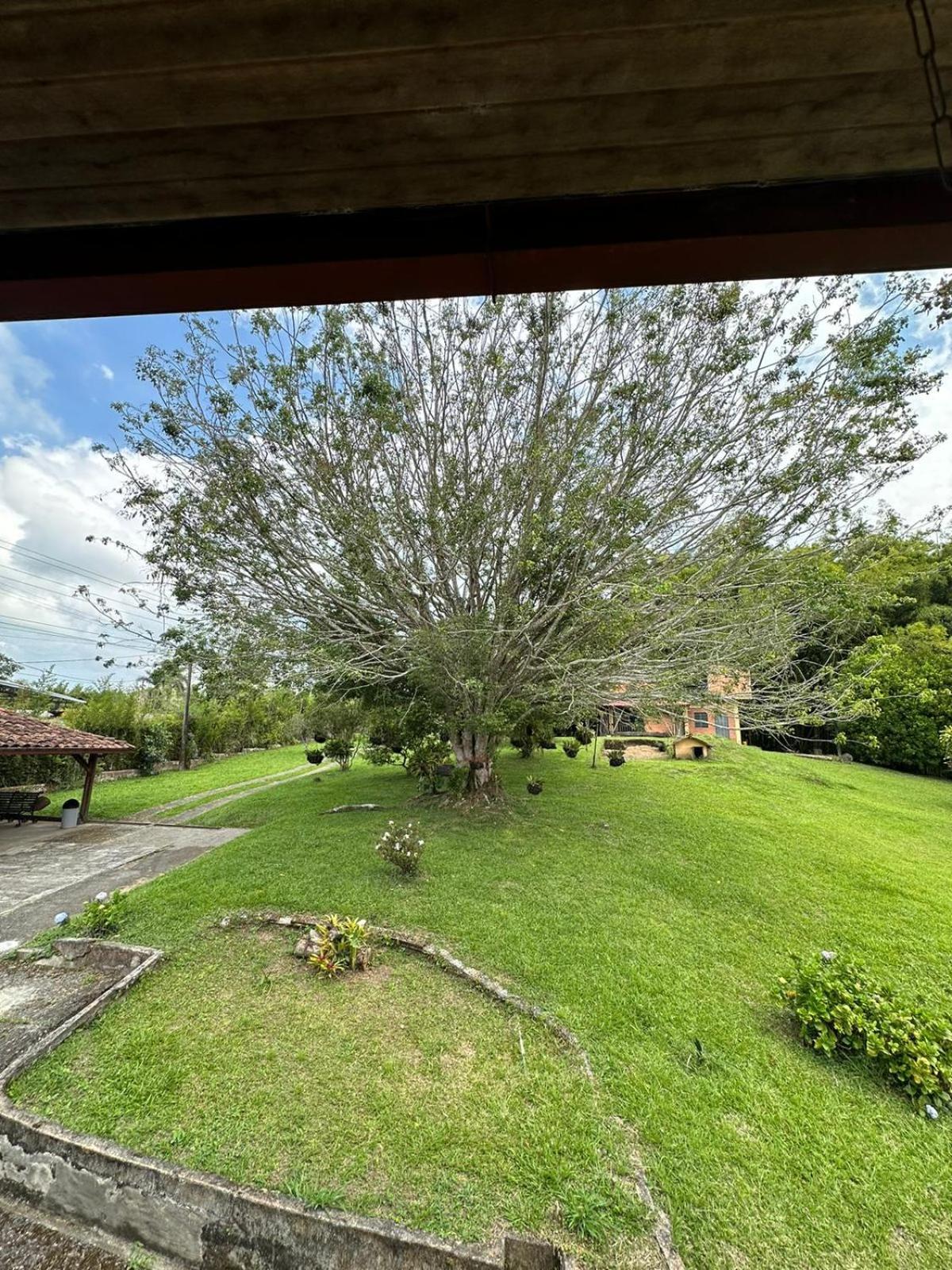 ホテル Filandia - Finca Rural La Guadalupana エクステリア 写真