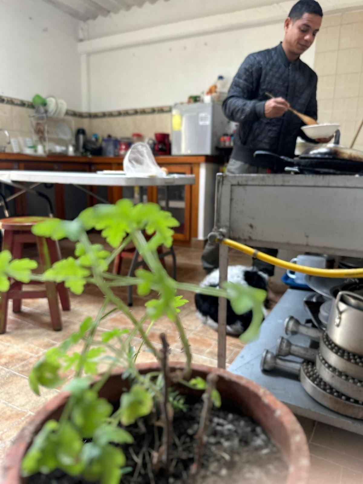 ホテル Filandia - Finca Rural La Guadalupana エクステリア 写真